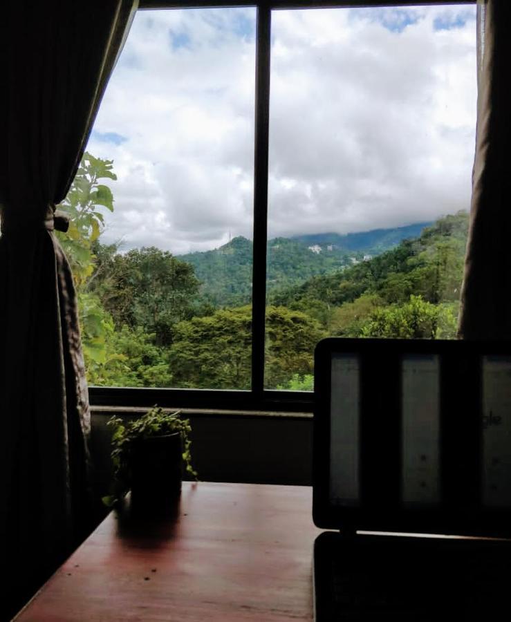 Mannoor Farms Mountain View Stays, Munnar Zewnętrze zdjęcie