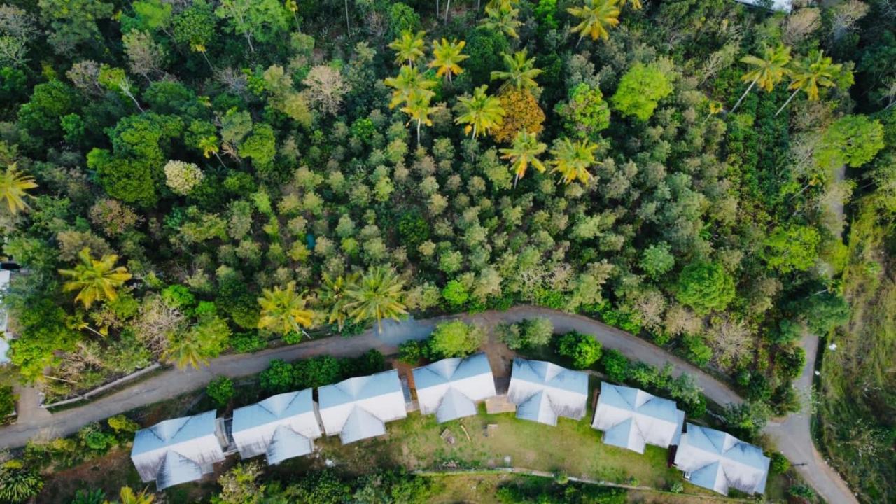 Mannoor Farms Mountain View Stays, Munnar Zewnętrze zdjęcie